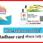 Blue Aadhaar card