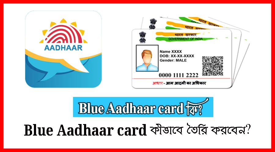 Blue Aadhaar card